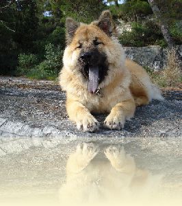 Hier bin ich schon 7 Monate auf Urlaub in Istrien